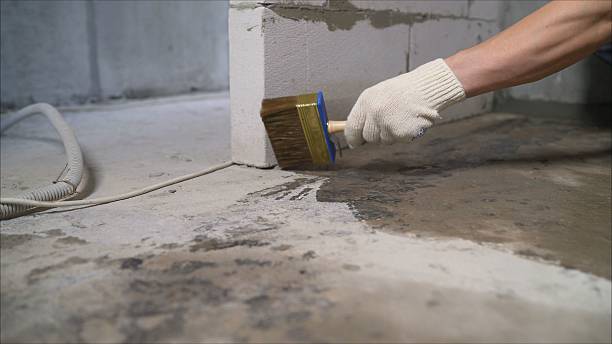 SJ Waterproofing Pros Waterproofing coverage map for Alamo, TN and surrounding area